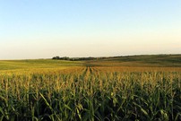 ООО Фурманово